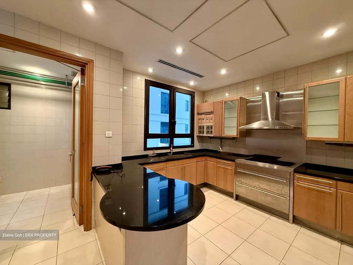 Ardmore Park (D10), Condominium #555344221